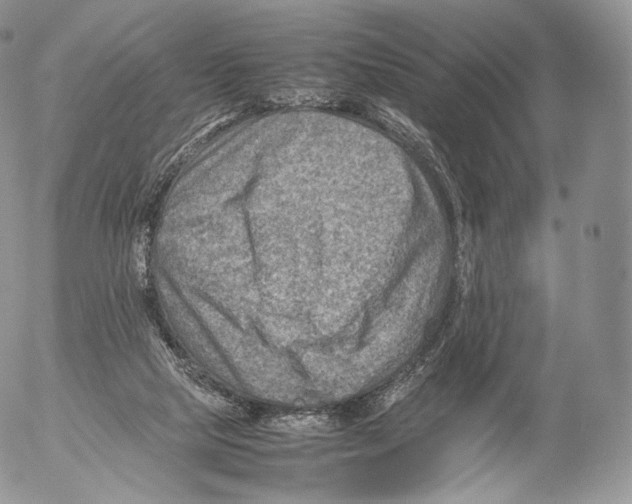 X0000053050065200508081139