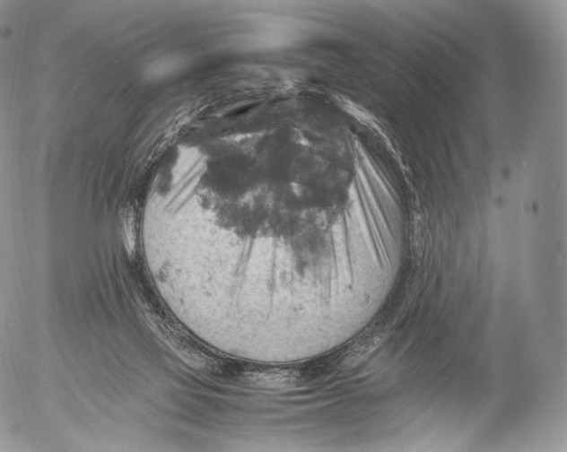 X0000053050069200508081139