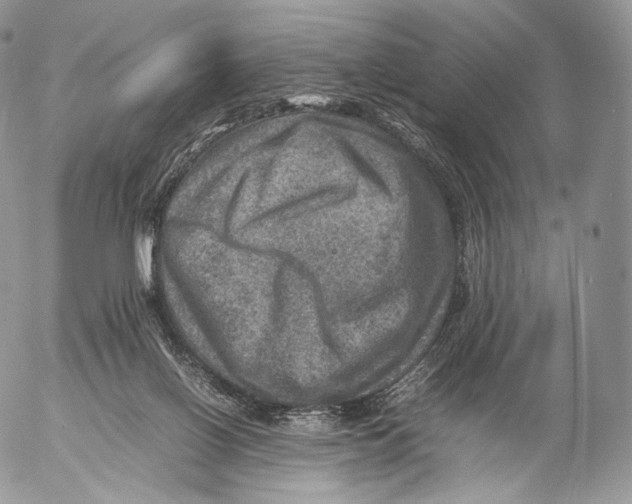 X0000053050070200508081139