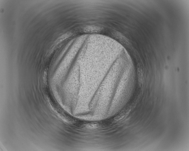 X0000053050071200508081139