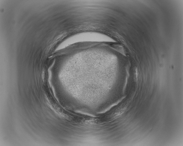 X0000053050072200508081139