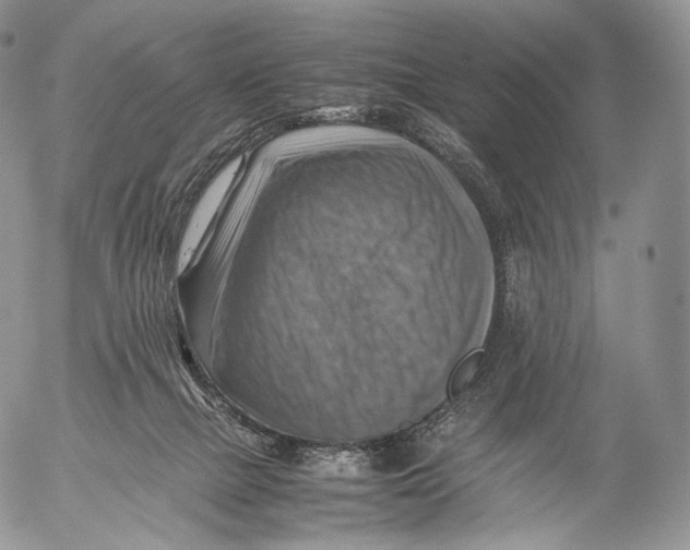 X0000053050073200508081139