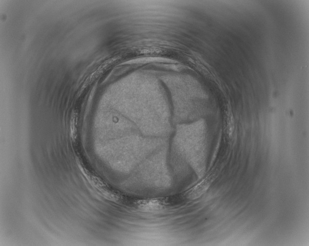 X0000053050074200508081139