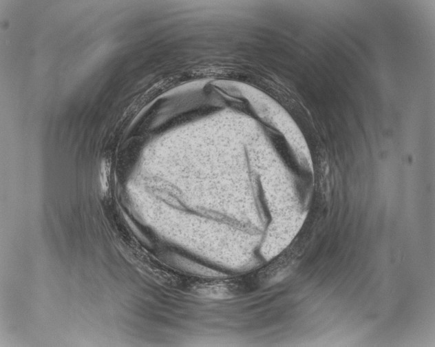 X0000053050075200508081139