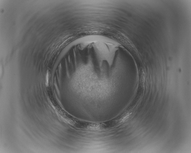 X0000053050076200508081139