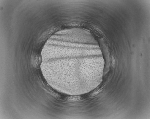 X0000053050077200508081139