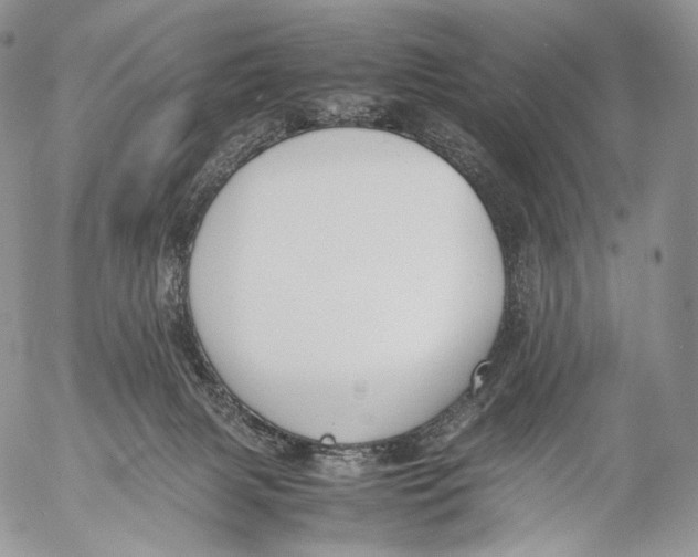 X0000053050079200508081139