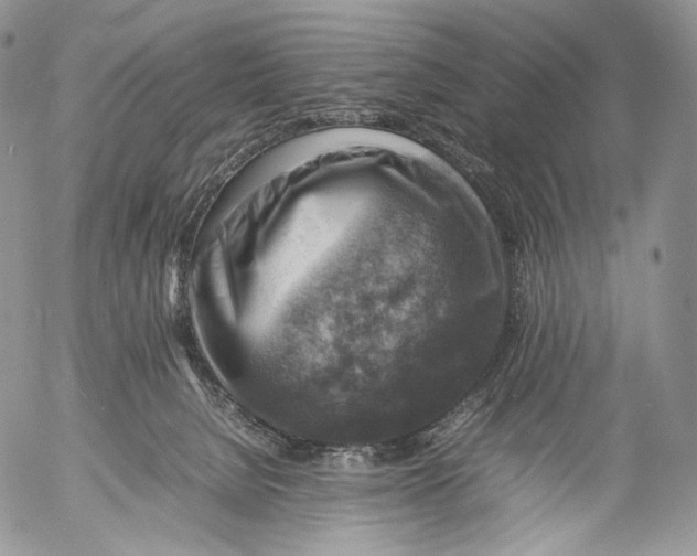 X0000053050080200508081139