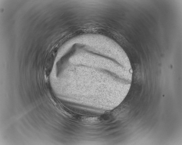 X0000053050081200508081139