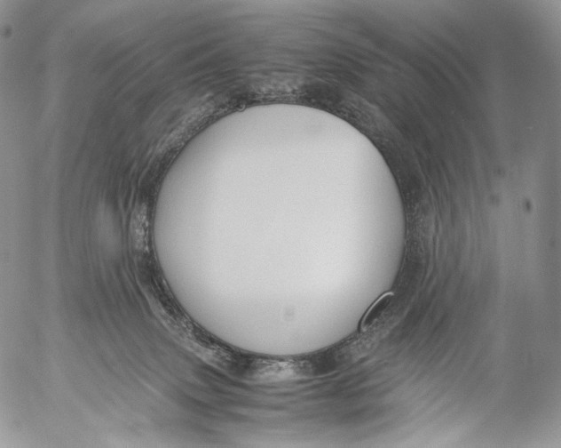 X0000053050083200508081139