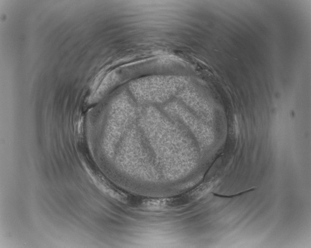 X0000053050084200508081139