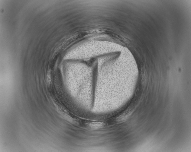 X0000053050085200508081139