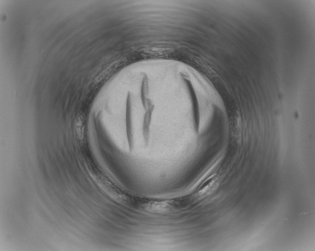 X0000053050086200508081139