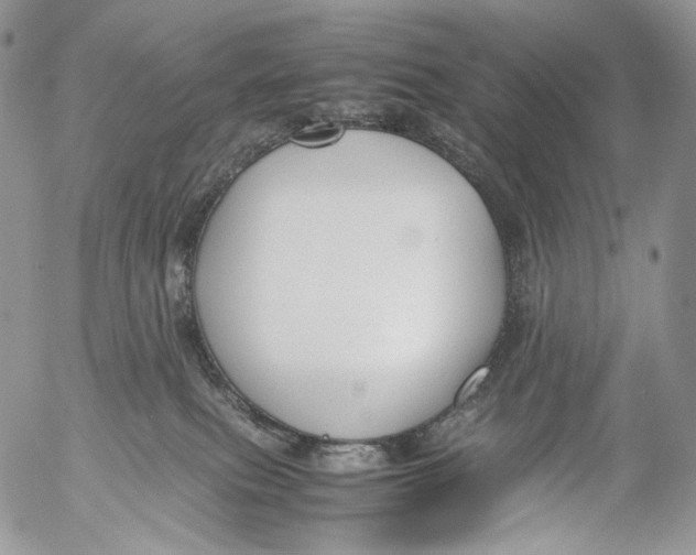 X0000053050087200508081139