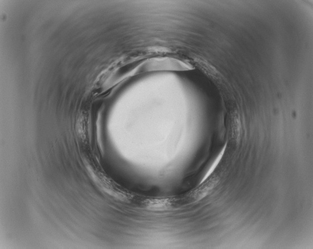 X0000053050088200508081139