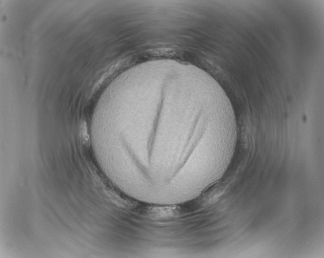 X0000053050089200508081139