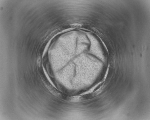 X0000053050090200508081139