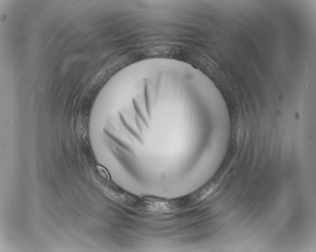 X0000053050091200508081139