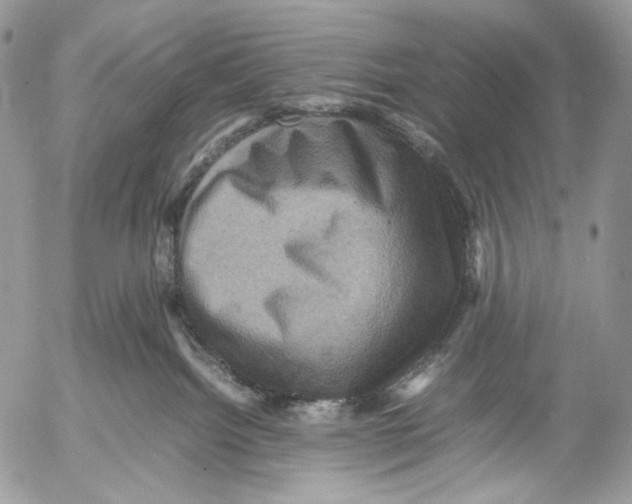 X0000053050092200508081139