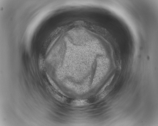 X0000053050093200508081139