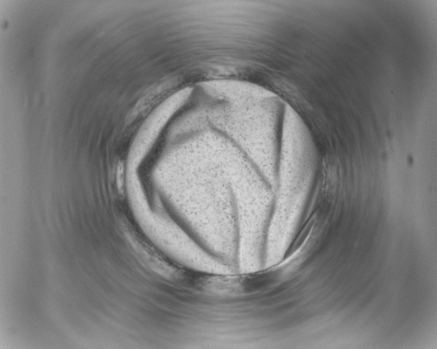 X0000053050094200508081139