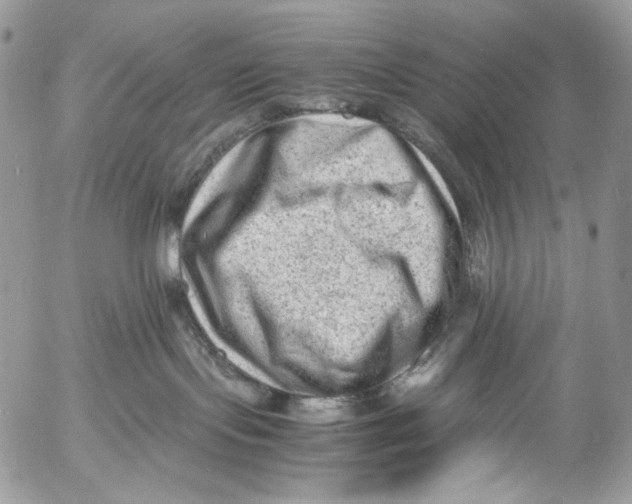 X0000053050095200508081139