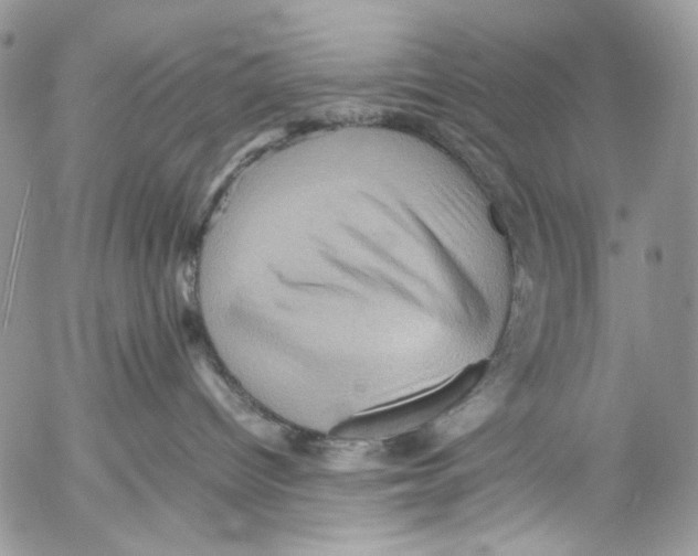 X0000053050096200508081139