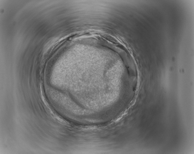 X0000053050097200508081139