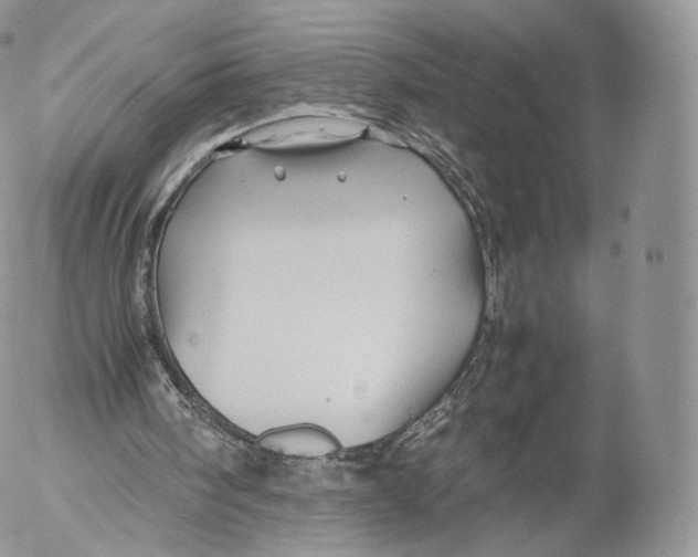 X0000053050098200508081139