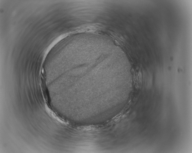 X0000053050100200508081139