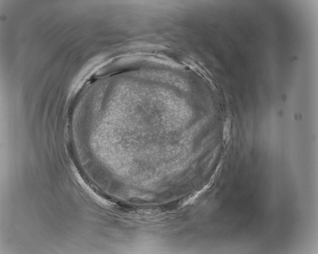 X0000053050101200508081139