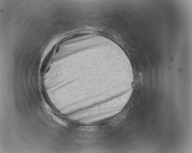 X0000053050102200508081139