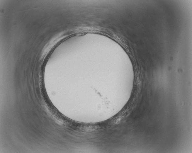 X0000053050103200508081139