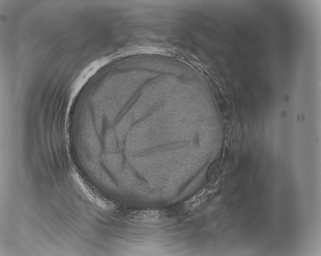 X0000053050104200508081139