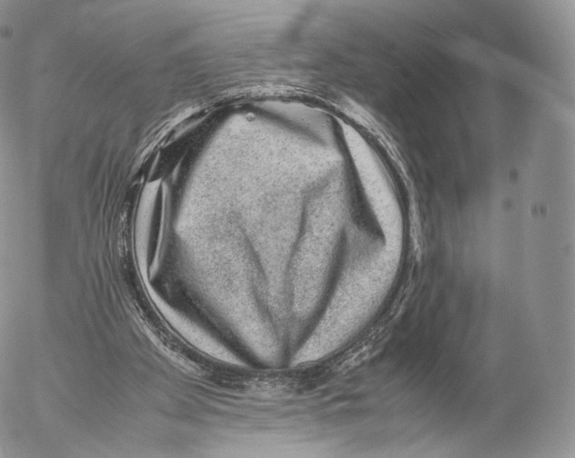 X0000053050105200508081138