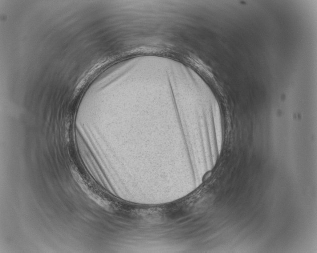 X0000053050106200508081138