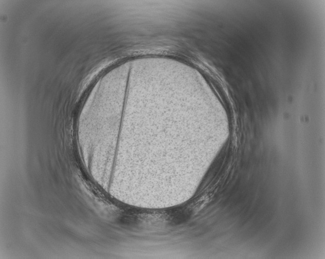 X0000053050107200508081138