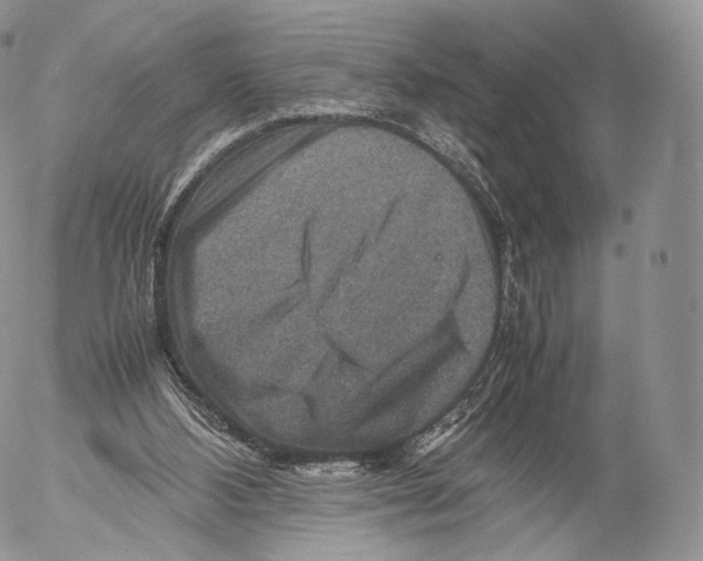 X0000053050108200508081138