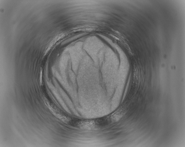 X0000053050110200508081138