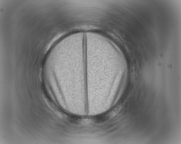 X0000053050111200508081138