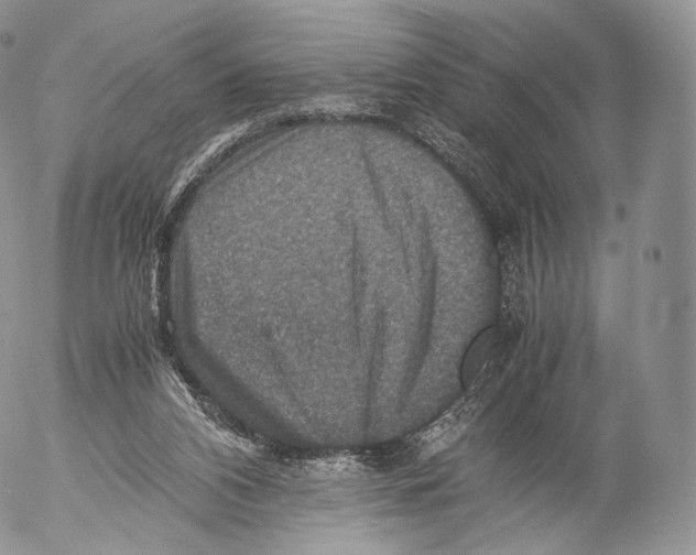 X0000053050112200508081138