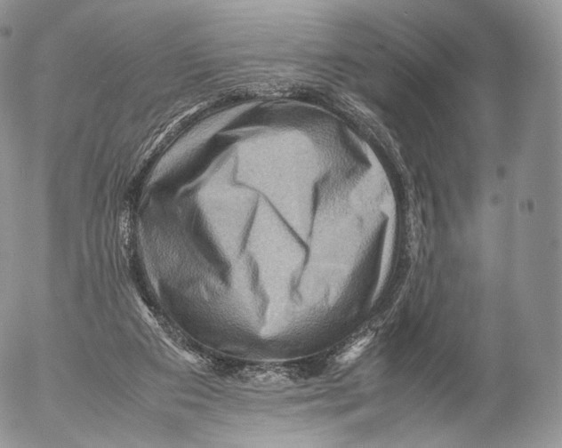 X0000053050113200508081138