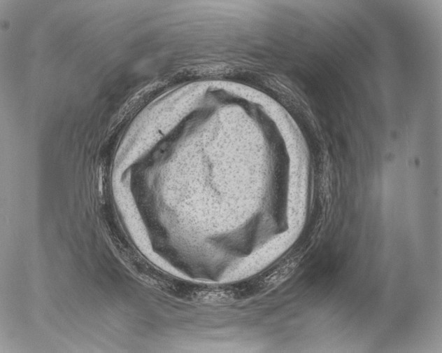 X0000053050115200508081138