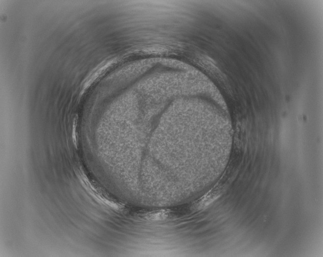 X0000053050116200508081138