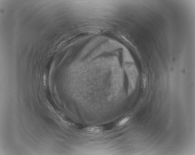 X0000053050117200508081138