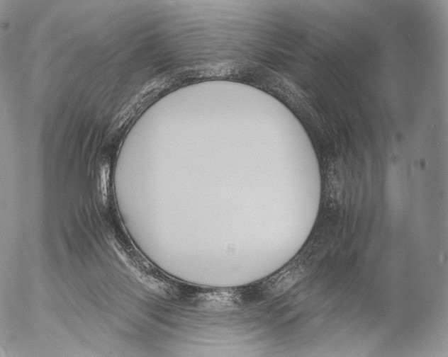 X0000053050118200508081138