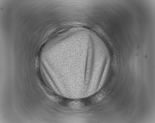 X0000053050119200508081138