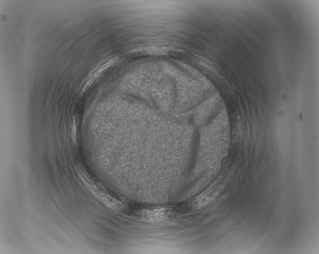 X0000053050120200508081138