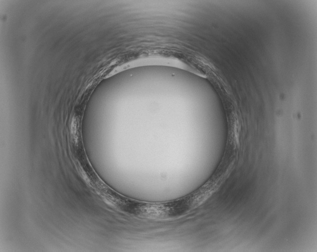 X0000053050121200508081138