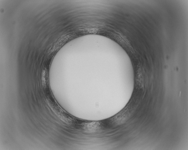 X0000053050122200508081138